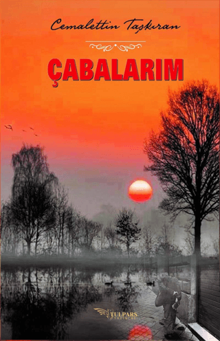 Çabalarım