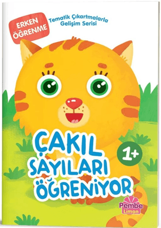 Çakıl Sayıları Öğreniyor