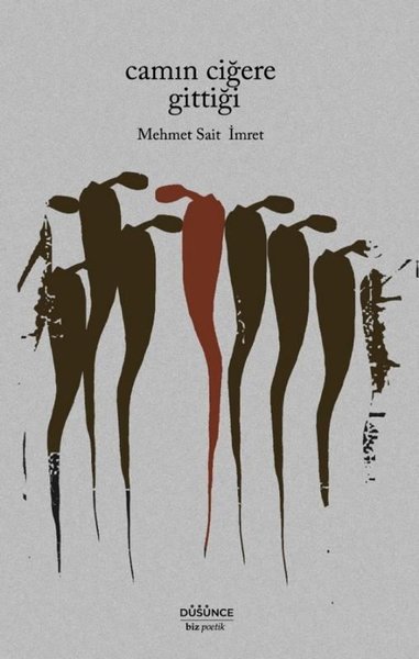 Camın Ciğere Gittiği (Ciltli)