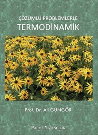 Çözümlü Problemlerle Termodinamik