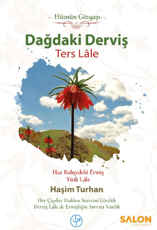Dağdaki Derviş Ters Lale