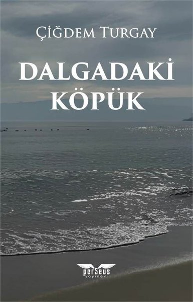 Dalgadaki Köpük