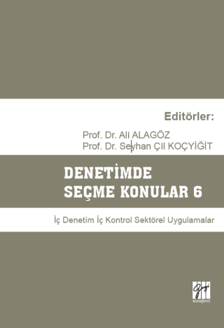 Denetimde Seçme Konular 6