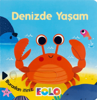 Denizde Yaşam - Sürgülü Kitaplar Kolektif