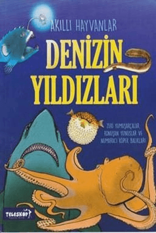 Denizin Yıldızları