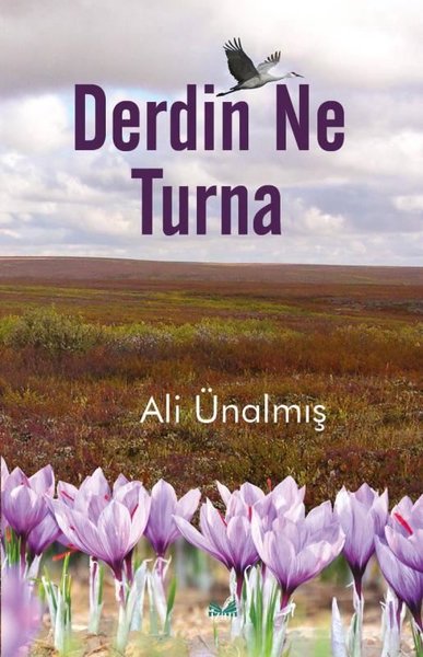 Derdin Ne Turna