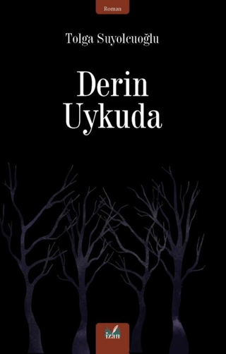 Derin Uykuda