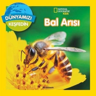 Dünyamızı Keşfedin-Bal Arısı