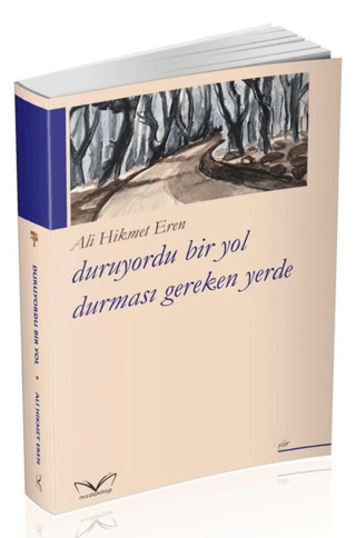 Duruyordu Bir Yol Durmasi Gereken Yerde Ali Hikmet Eren