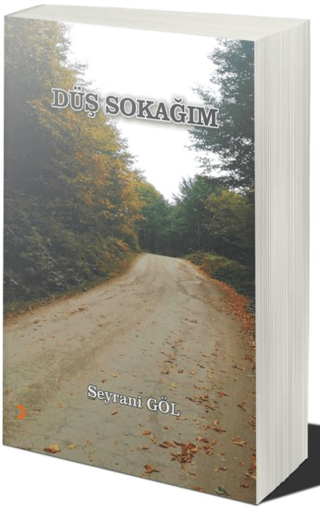 Düş Sokağım Seyrani Göl