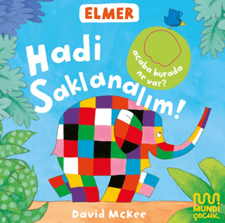 Elmer Kütüphanesi Hadi Saklanalım! (Ciltli)