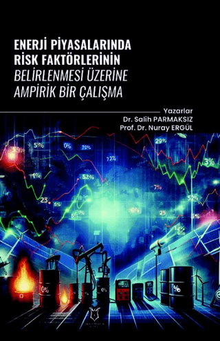 Enerji Piyasalarında Risk Faktörlerinin Belirlenmesi Üzerine Ampirik Bir Çalışma