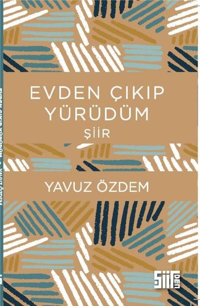 Evden Çıkıp Yürüdüm