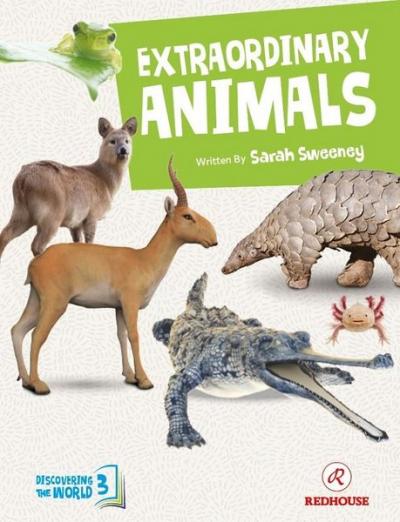 Extraordinary Animals Sarah Sweeney