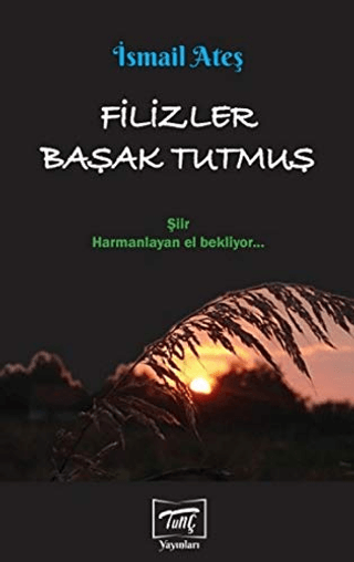 Filizler Başak Tutmuş