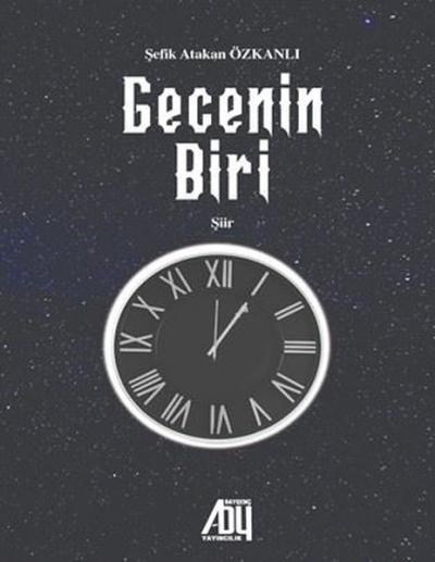Gecenin Biri