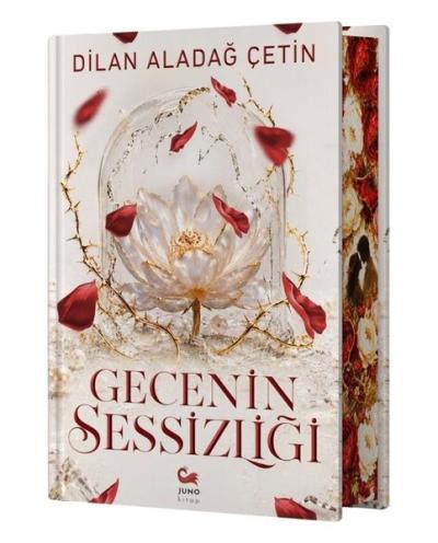 Gecenin Sessizliği (Ciltli)