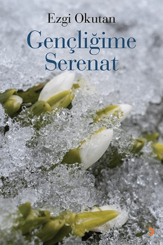 Gençliğime Serenat