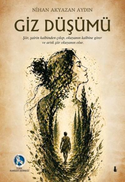 Giz Düşümü