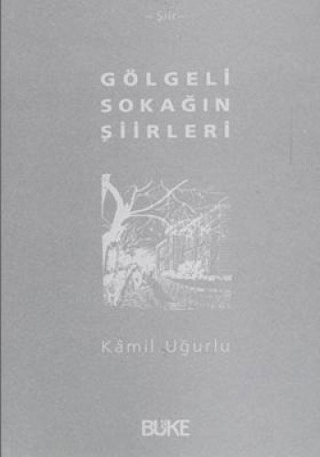 Gölgeli Sokağın Şiirleri