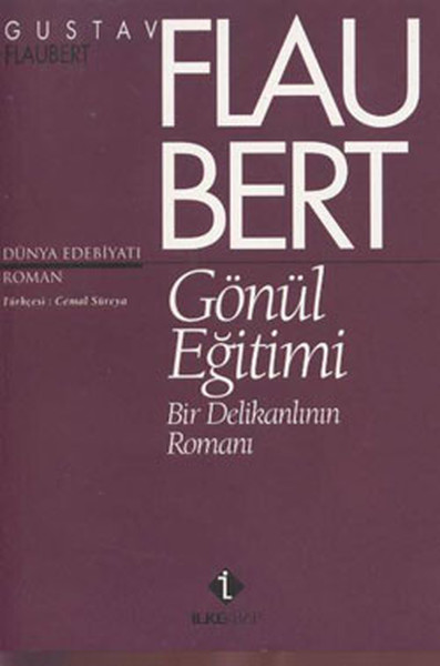 Gönül Eğitimi Bir Delikanlının Romanı