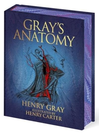 Gray's Anatomy (Ciltli)