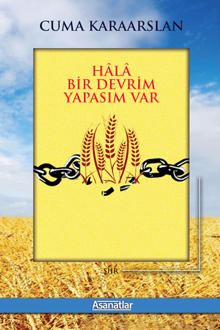 Hala Bir Devrim Yapasım Var