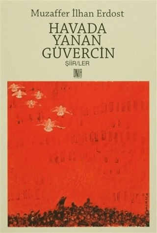 Havada Yanan Güvercin