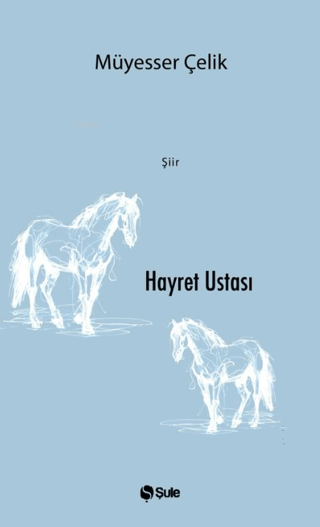 Hayret Ustası