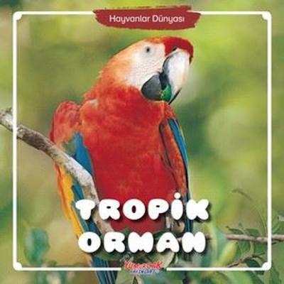 Tropik Orman - Hayvanlar Dünyası Kolektif