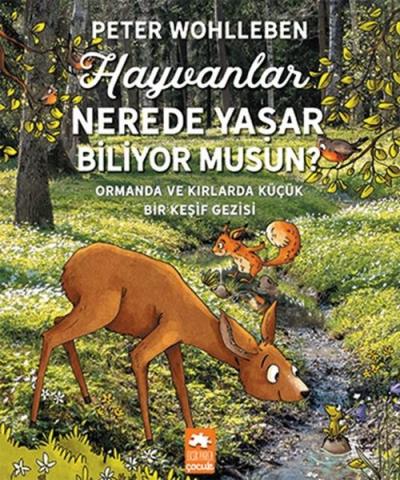 Hayvanlar Nerede Yaşar Biliyor Musun? Peter Wohlleben