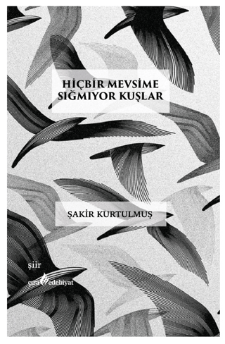 Hiçbir Mevsime Sığmıyor Kuşlar