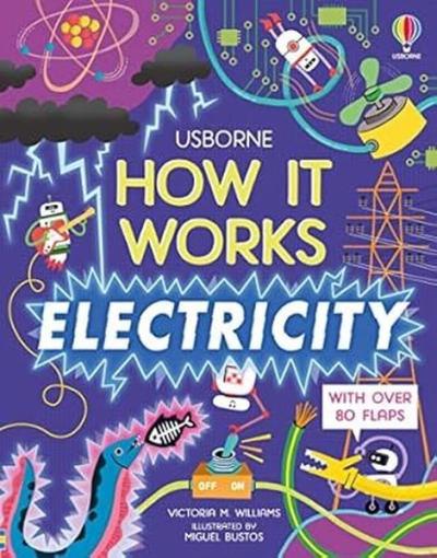 How It Works: Electricity (Ciltli)