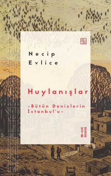 Huylanışlar - Bütün Denizlerin İstanbul'u Necip Evlice
