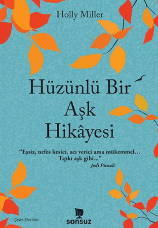 Hüzünlü Bir Aşk Hikayesi