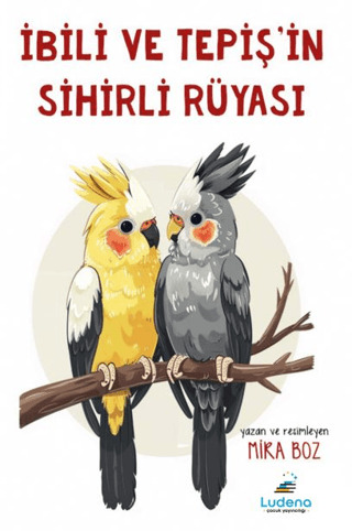 İbili ve Tepiş’in Sihirli Rüyası