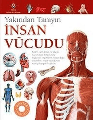 İnsan Vücudu - Yakından Tanıyın