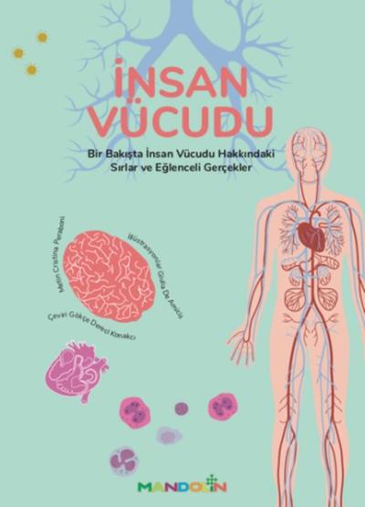 İnsan Vücudu Cristina Peraboni