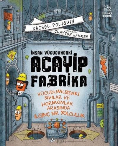 İnsan Vücudundaki Acayip Fabrika - Vücudumuzdaki Sıvılar ve Hormonlar Arasında İlginç Bir Yolculuk