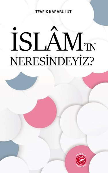İslam'ın Neresindeyiz? Tevfik Karabulut