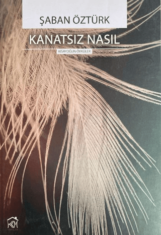 Kanatsız Nasıl
