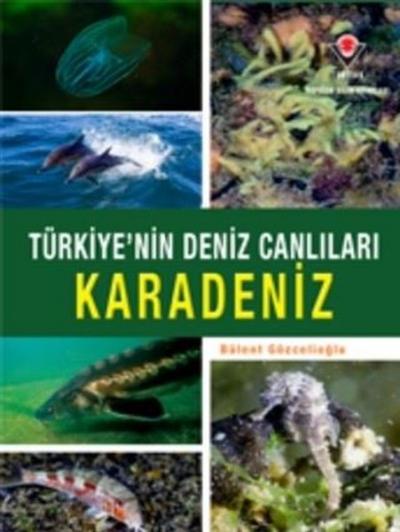 Karadeniz - Türkiye'nin Deniz Canlıları (Ciltli) Bülent Gözcelioğlu