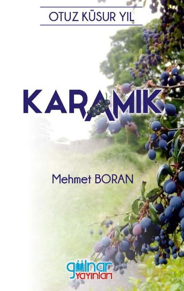 Karamık Mehmet Boran
