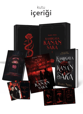 Kasırgaya Kanan Saka 1- Hediyeli Özel Kutu (Ciltli)