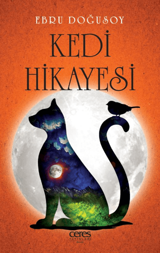 Kedi Hikayesi