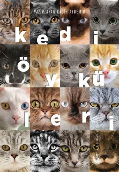 Kedi Öyküleri Kadir Aydemir