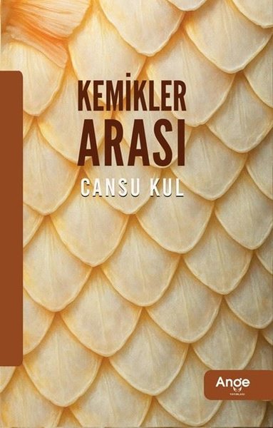Kemikler Arası