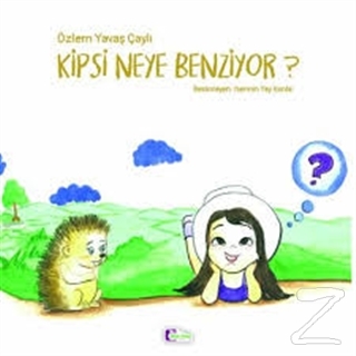 Kipsi Neye Benziyor?