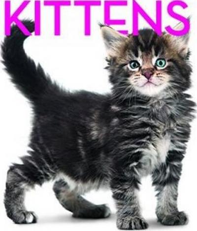 Kittens Cubebook: Cube Book (Cube Books) (Ciltli)