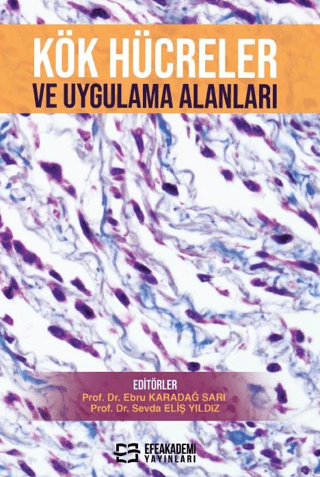 Kök Hücreler ve Uygulama Alanları